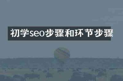 初学seo步骤和环节步骤