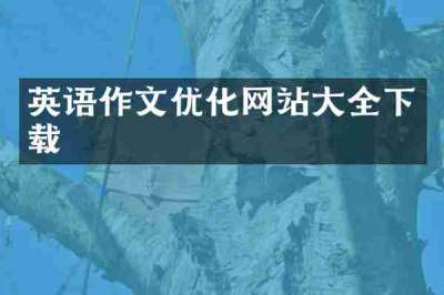 英语作文优化网站大全下载