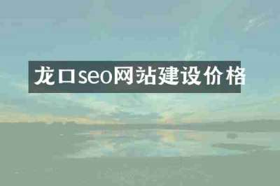 龙口seo网站建设价格