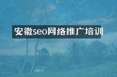 安徽seo网络推广培训