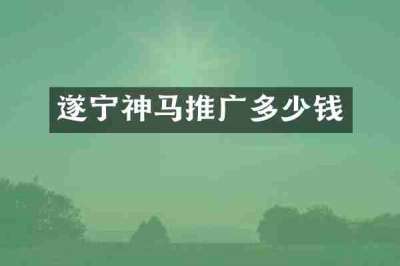 遂宁神马推广多少钱