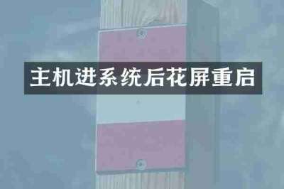 主机进系统后花屏重启