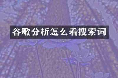 谷歌分析怎么看搜索词