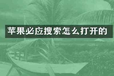 苹果必应搜索怎么打开的