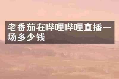 老番茄在哔哩哔哩直播一场多少钱