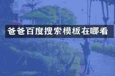 爸爸百度搜索模板在哪看