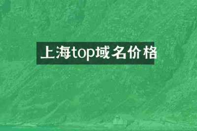 上海top域名价格