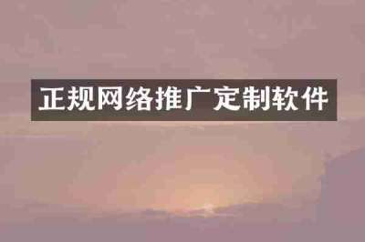 正规网络推广定制软件