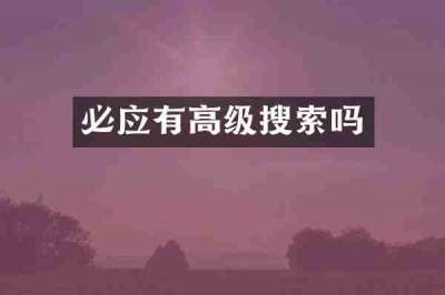 必应有高级搜索吗