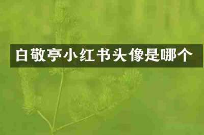 白敬亭小红书头像是哪个