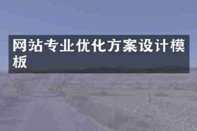 网站专业优化方案设计模板