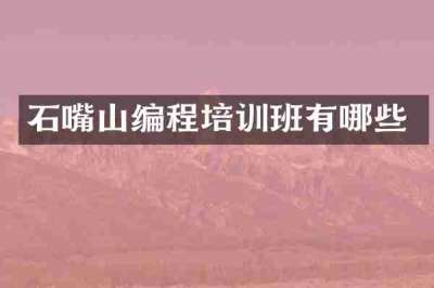 石嘴山编程培训班有哪些