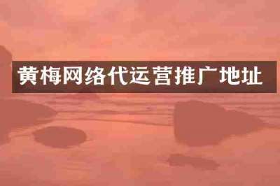 黄梅网络代运营推广地址