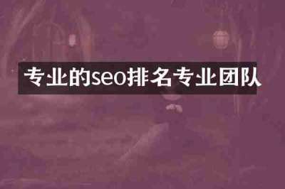 专业的seo排名专业团队