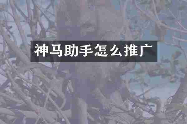 神马助手怎么推广