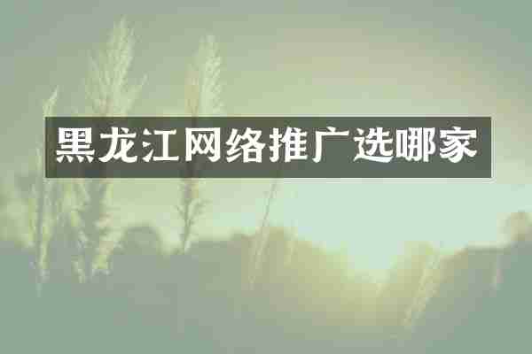 黑龙江网络推广选哪家