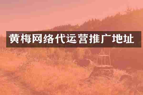 黄梅网络推广地址