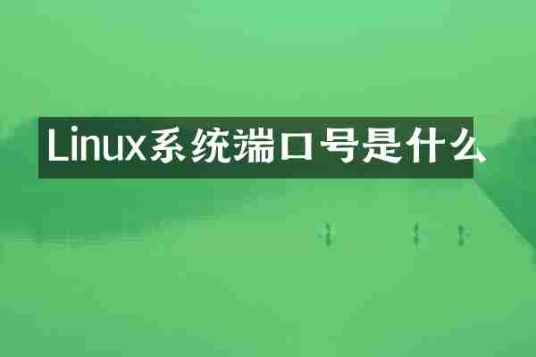 Linux系统端口号是什么