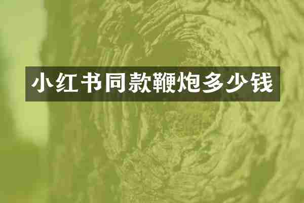 小红书同款多少钱