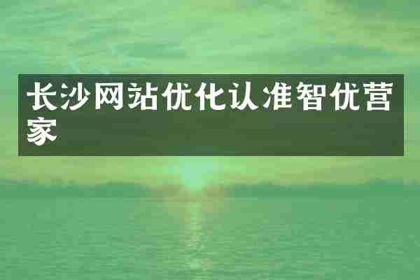 长沙网站优化认准智优营家