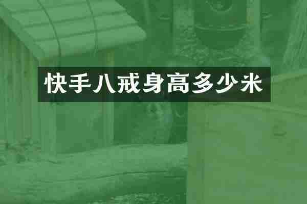 快手八戒身高多少米