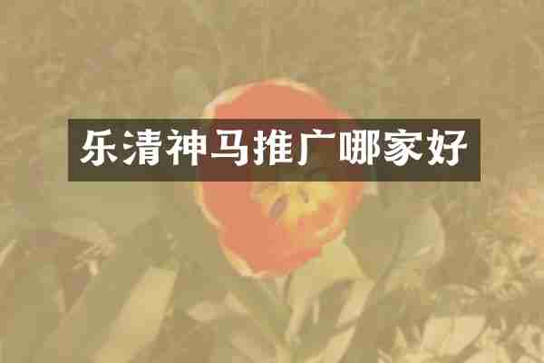 乐清神马推广哪家好
