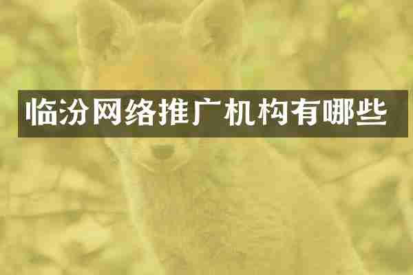 临汾网络推广机构有哪些