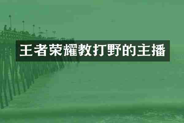 王者荣耀教打野的主播