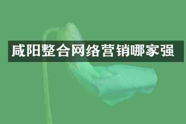 咸阳整合网络营销哪家强