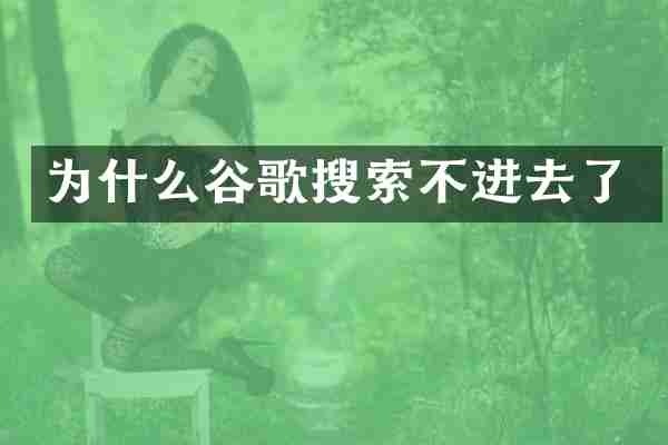 为什么谷歌搜索不进去了