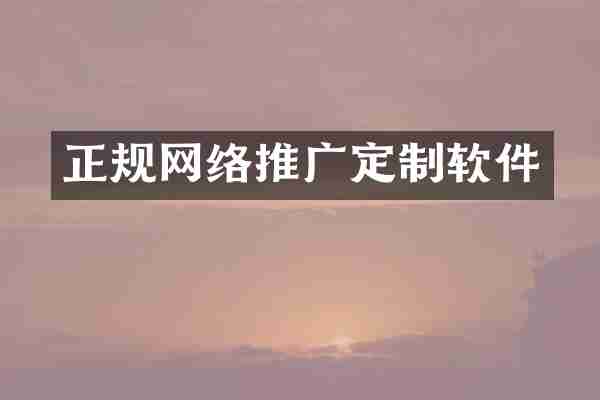 正规网络推广定制软件