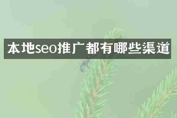 本地seo推广都有哪些渠道