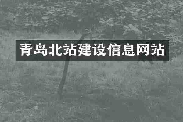 青岛北站建设信息网站
