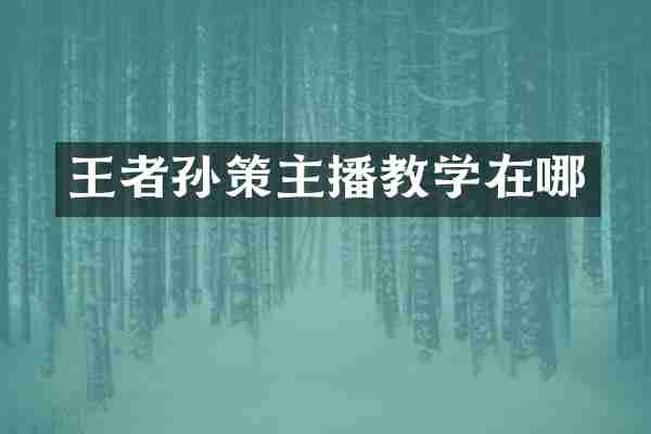 王者孙策主播教学在哪