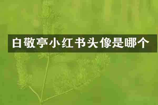 白敬亭小红书头像是哪个