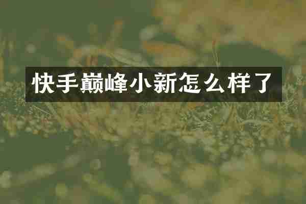 快手巅峰小新怎么样了