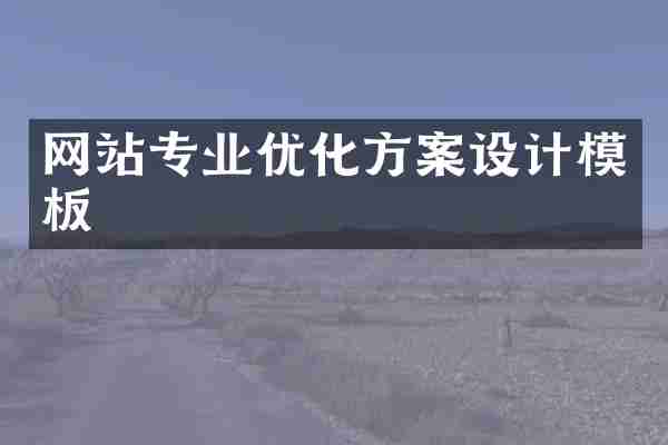 网站专业优化方案设计模板