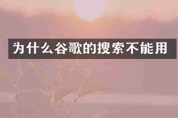 为什么谷歌的搜索不能用