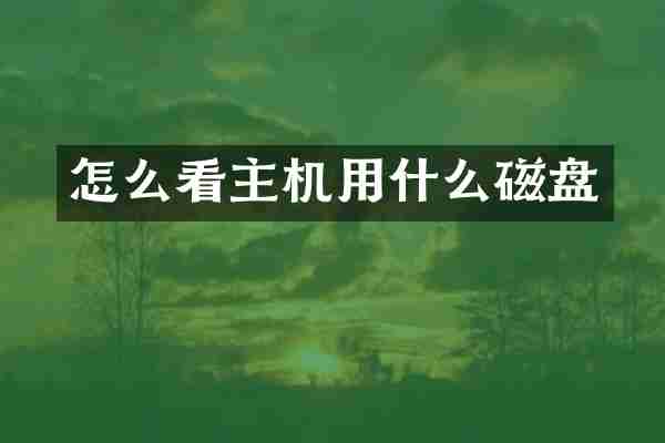 怎么看主机用什么磁盘