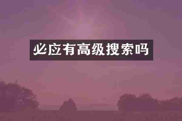 必应有高级搜索吗