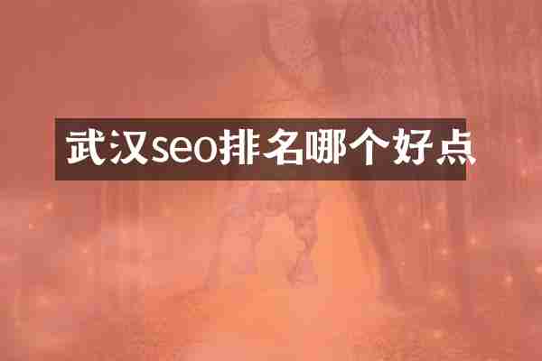 武汉seo排名哪个好点