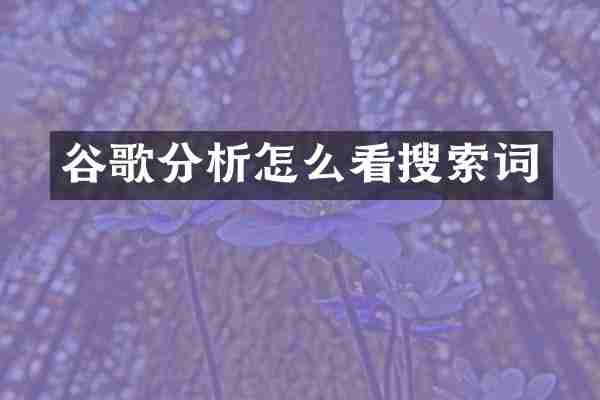 谷歌分析怎么看搜索词