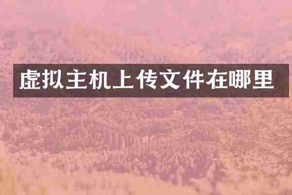 虚拟主机上传文件在哪里