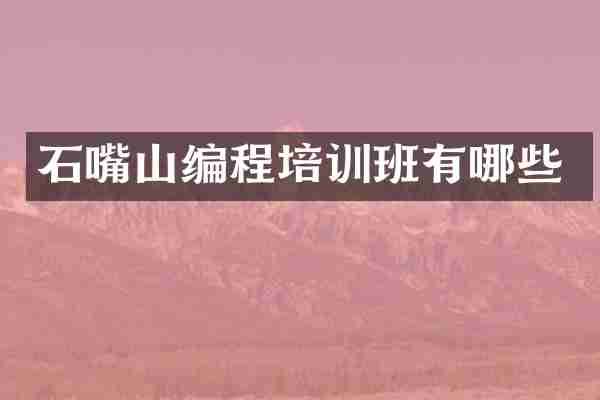 石嘴山编程培训班有哪些