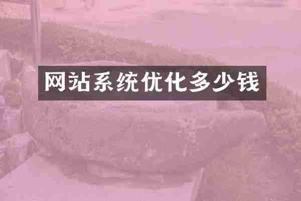 网站系统优化多少钱