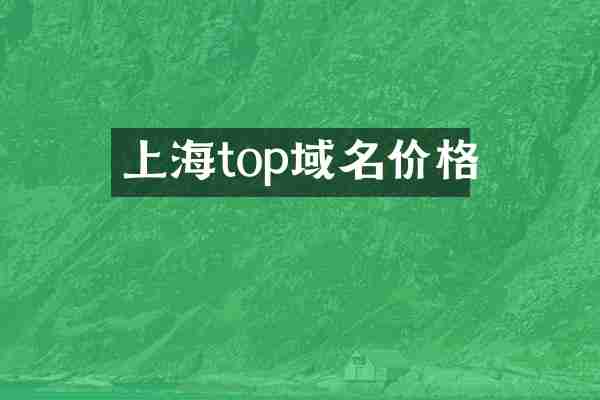 上海top域名价格