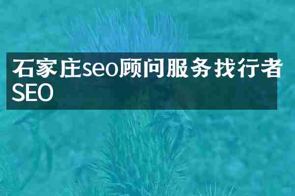 石家庄seo顾问服务找行者SEO