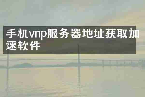 手机vnp服务器地址获取加速软件