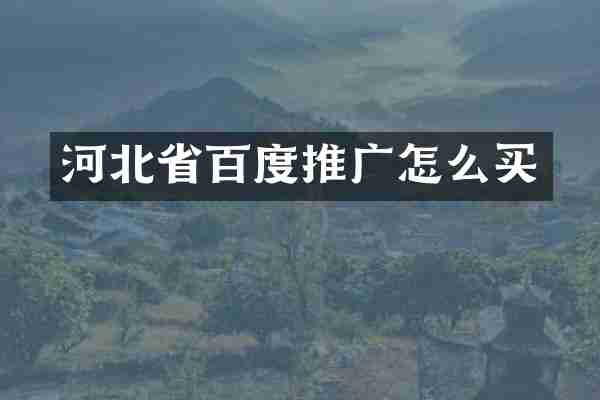 河北省百度推广怎么买
