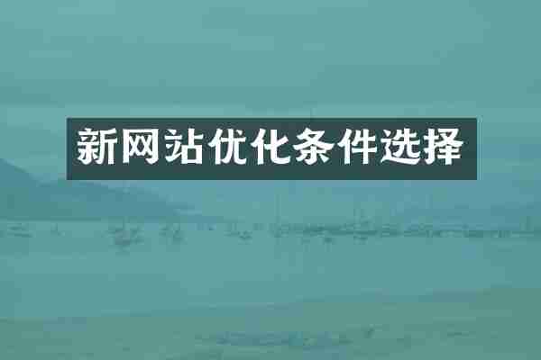 新网站优化条件选择